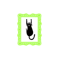 a black cat in a green frame on a black background
